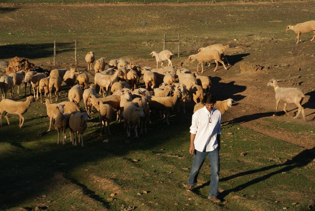 Cantar Do Grilo - Turismo Rural Serpa Bagian luar foto