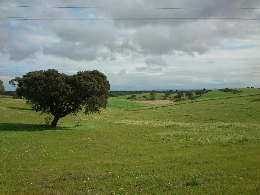Cantar Do Grilo - Turismo Rural Serpa Bagian luar foto